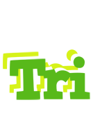 Tri picnic logo