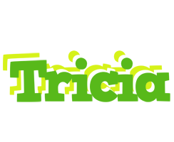 Tricia picnic logo