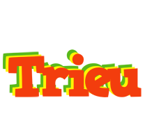 Trieu bbq logo