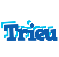 Trieu business logo