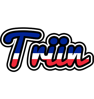 Triin france logo
