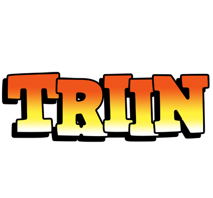 Triin sunset logo