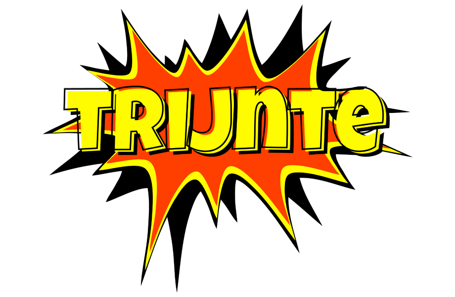 Trijnte bazinga logo