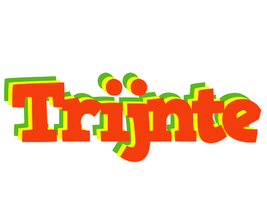 Trijnte bbq logo