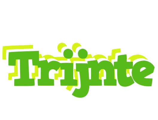 Trijnte picnic logo