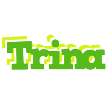 Trina picnic logo