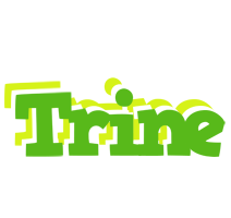 Trine picnic logo