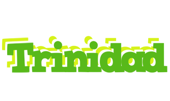 Trinidad picnic logo