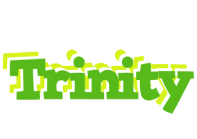 Trinity picnic logo