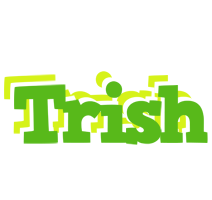 Trish picnic logo