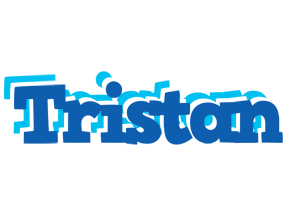 Tristan business logo