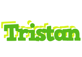 Tristan picnic logo