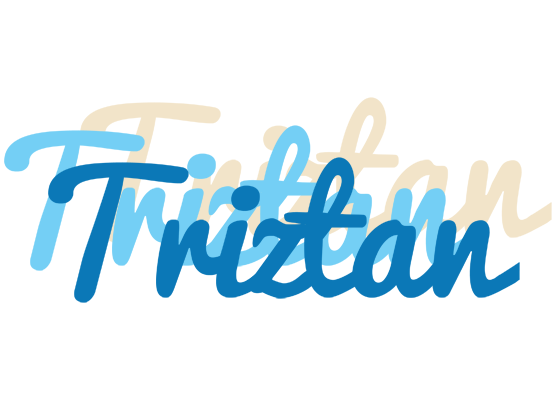 Triztan breeze logo