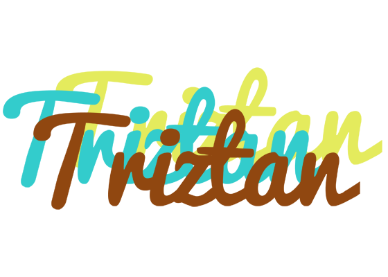 Triztan cupcake logo