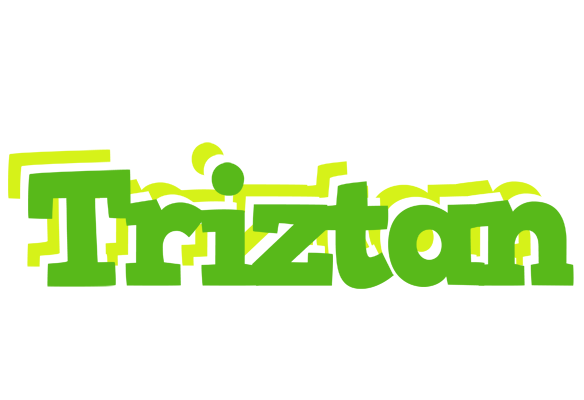Triztan picnic logo
