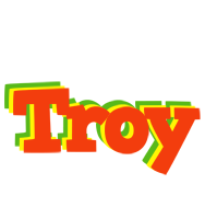 Troy bbq logo