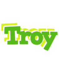 Troy picnic logo