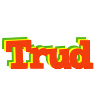 Trud bbq logo