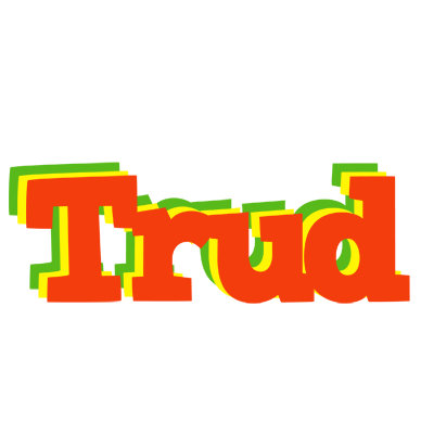 Trud bbq logo
