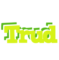 Trud citrus logo