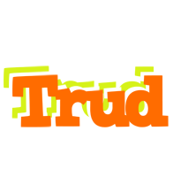 Trud healthy logo