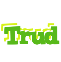 Trud picnic logo