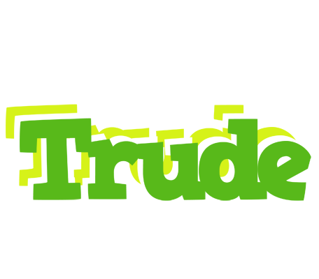 Trude picnic logo