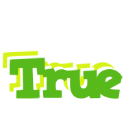 True picnic logo