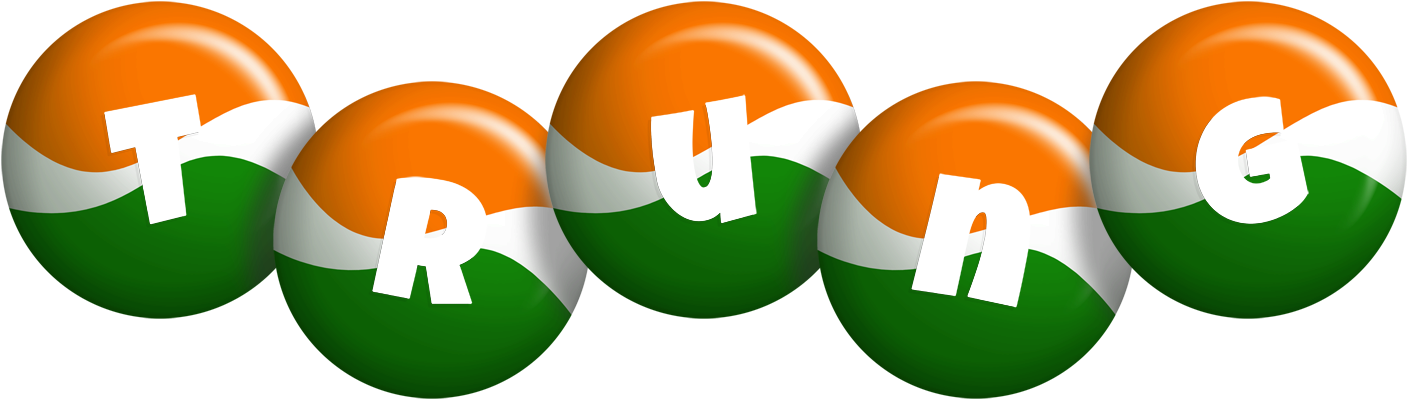 Trung india logo