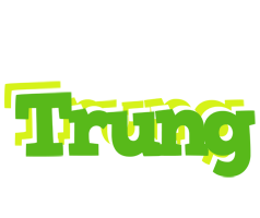 Trung picnic logo