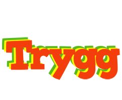 Trygg bbq logo