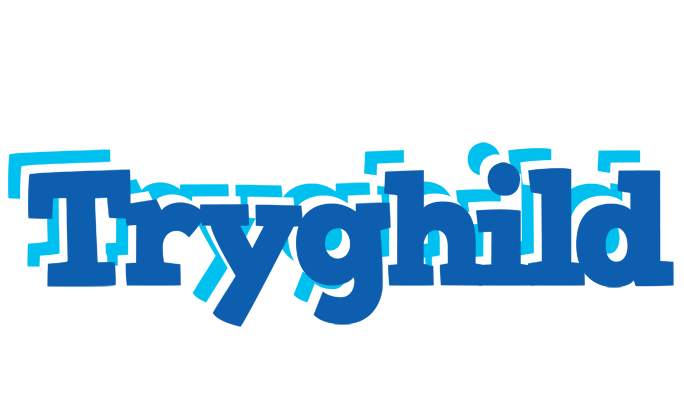Tryghild business logo