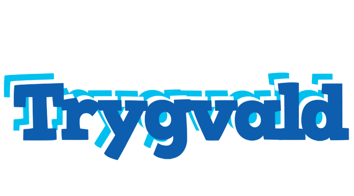 Trygvald business logo
