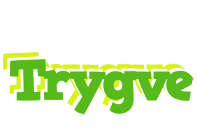 Trygve picnic logo