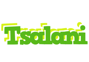 Tsalani picnic logo