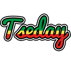 Tseday african logo