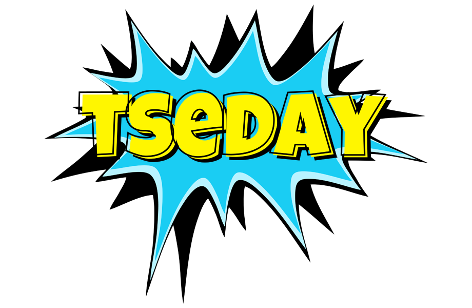 Tseday amazing logo