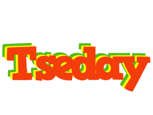 Tseday bbq logo