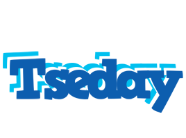 Tseday business logo