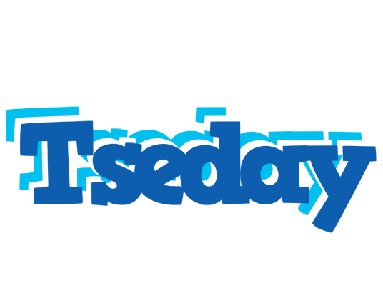 Tseday business logo