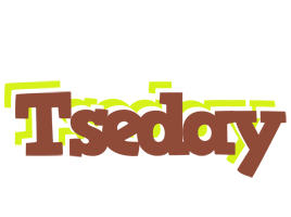 Tseday caffeebar logo