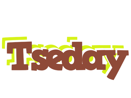 Tseday caffeebar logo