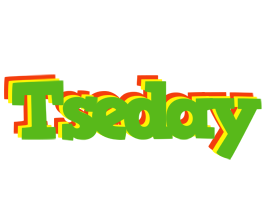 Tseday crocodile logo