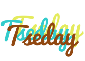 Tseday cupcake logo