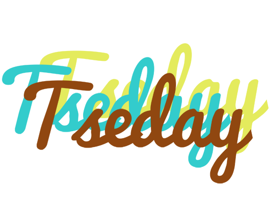 Tseday cupcake logo