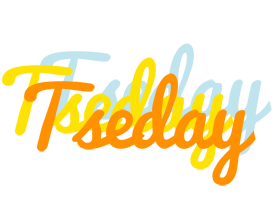 Tseday energy logo