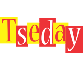 Tseday errors logo