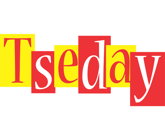 Tseday errors logo