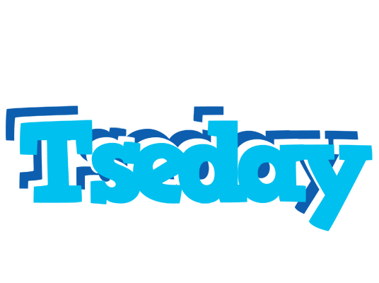 Tseday jacuzzi logo