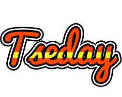 Tseday madrid logo